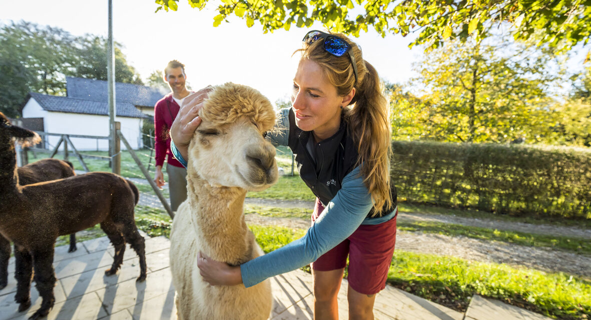 Tierische Abenteuer