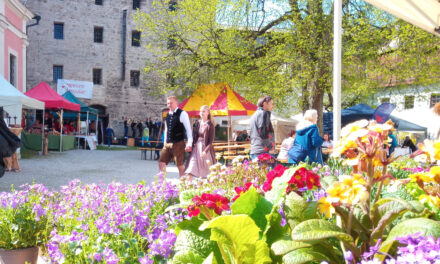 FRÜHLING in Tittmoning